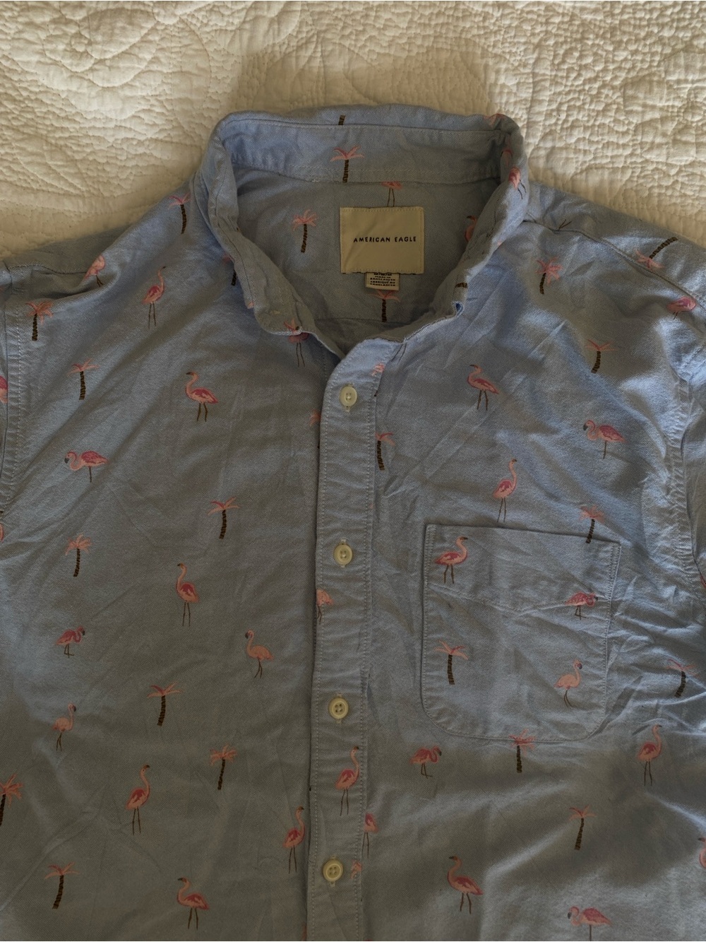 NWOT American Eagle Outfitters Men’s Button-Up Shirt Size M Cotton Casual Preppy - Picture 4 of 6